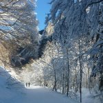 Ritorno verso ponte Ardua 